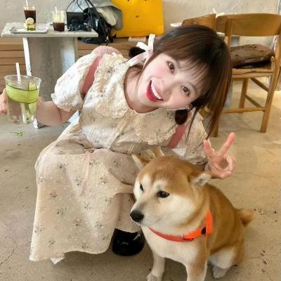 我不笨所以我说说说